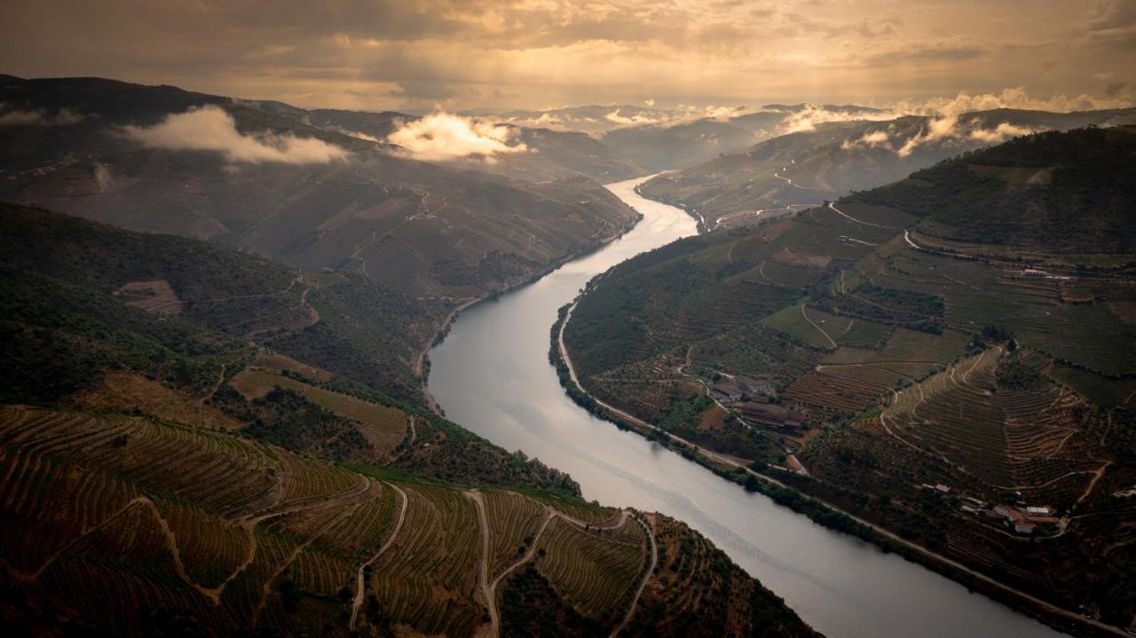 Hotel Folgosa Douro بلدية آرمامار المظهر الخارجي الصورة