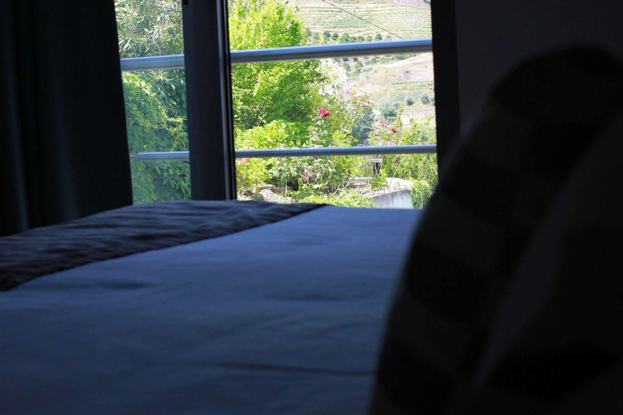 Hotel Folgosa Douro بلدية آرمامار المظهر الخارجي الصورة